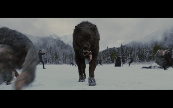 The Twilight Saga Breaking Dawn Part 2 - 1628