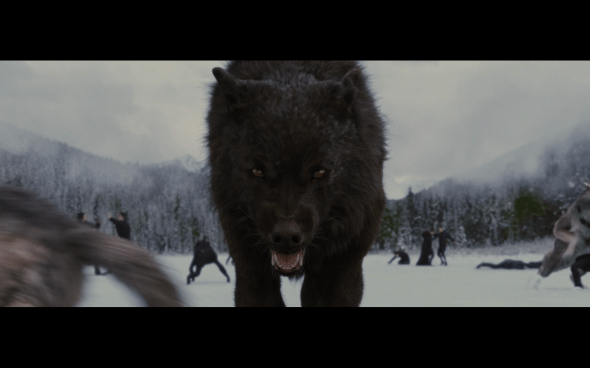 The Twilight Saga Breaking Dawn Part 2 - 1631