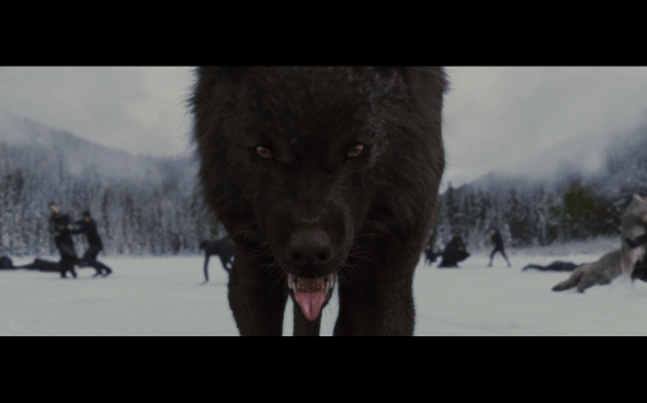 The Twilight Saga Breaking Dawn Part 2 - 1632