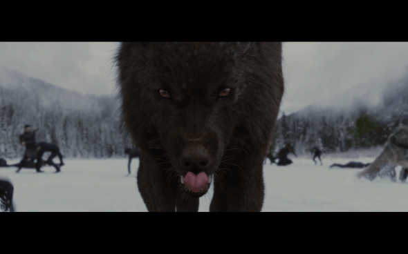 The Twilight Saga Breaking Dawn Part 2 - 1633