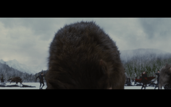 The Twilight Saga Breaking Dawn Part 2 - 1641