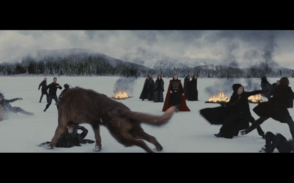 The Twilight Saga Breaking Dawn Part 2 - 1683
