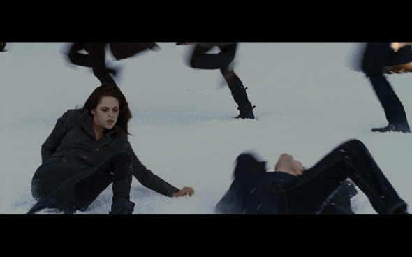 The Twilight Saga Breaking Dawn Part 2 - 1699