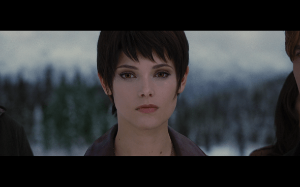 The Twilight Saga Breaking Dawn Part 2 - 1810