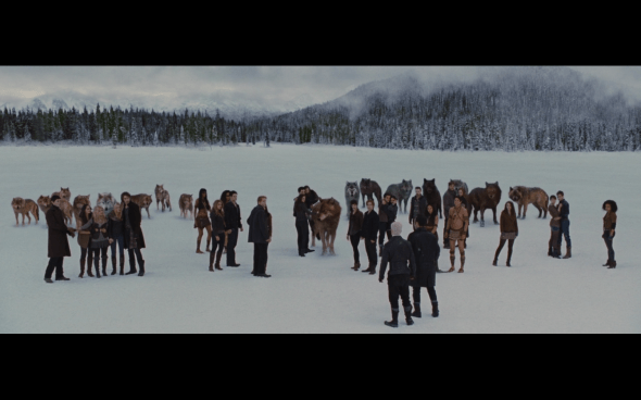 The Twilight Saga Breaking Dawn Part 2 - 1820