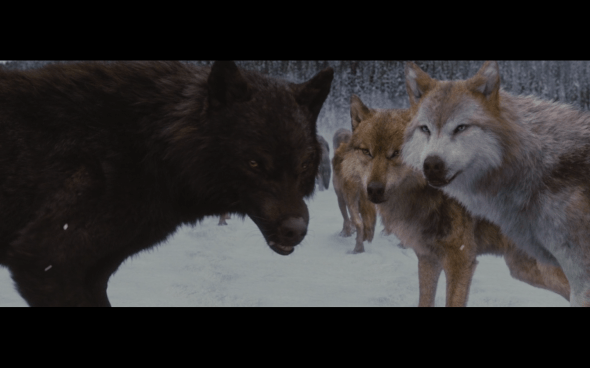 The Twilight Saga Breaking Dawn Part 2 - 1829