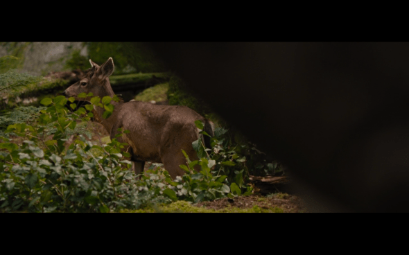 The Twilight Saga Breaking Dawn Part 2 - 183