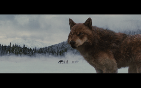 The Twilight Saga Breaking Dawn Part 2 - 1831