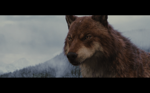 The Twilight Saga Breaking Dawn Part 2 - 1833