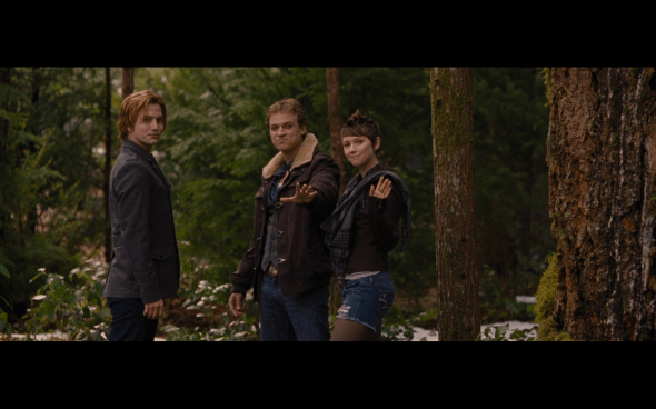 The Twilight Saga Breaking Dawn Part 2 - 1843