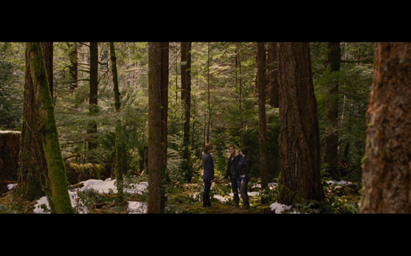 The Twilight Saga Breaking Dawn Part 2 - 1844