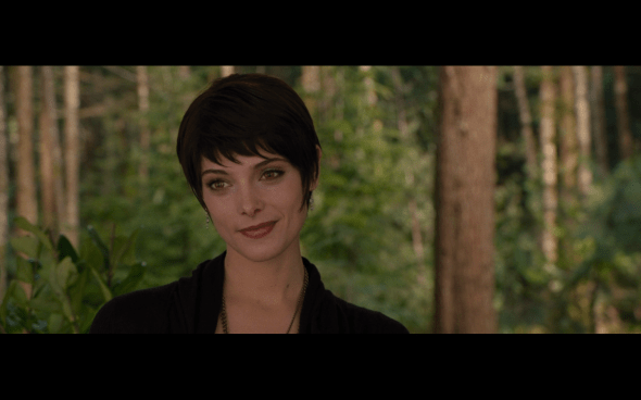 The Twilight Saga Breaking Dawn Part 2 - 1846