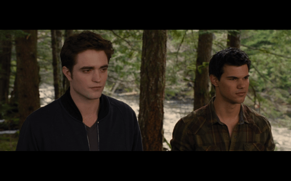 The Twilight Saga Breaking Dawn Part 2 - 1848