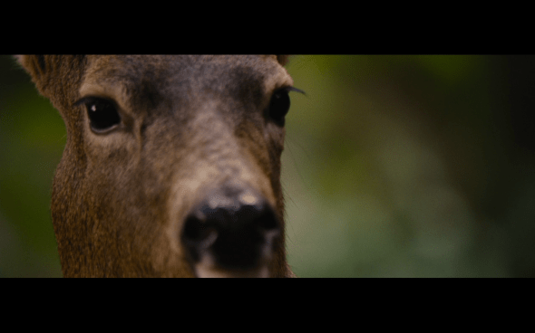 The Twilight Saga Breaking Dawn Part 2 - 185