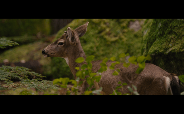 The Twilight Saga Breaking Dawn Part 2 - 186