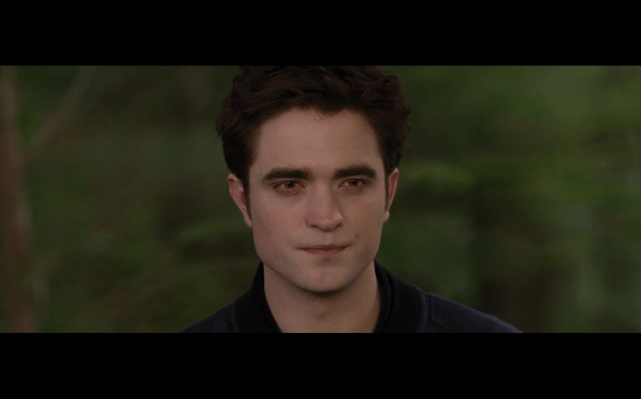 The Twilight Saga Breaking Dawn Part 2 - 1861