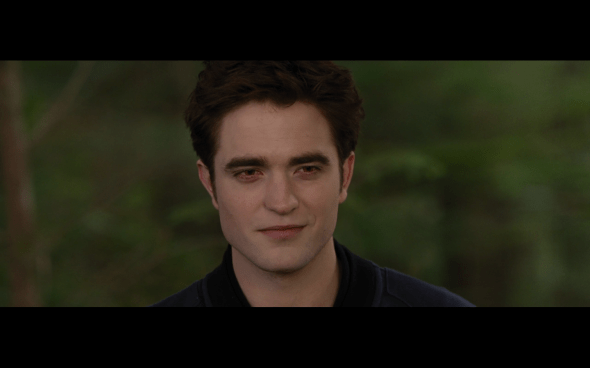 The Twilight Saga Breaking Dawn Part 2 - 1863