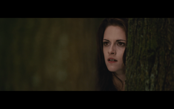 The Twilight Saga Breaking Dawn Part 2 - 187
