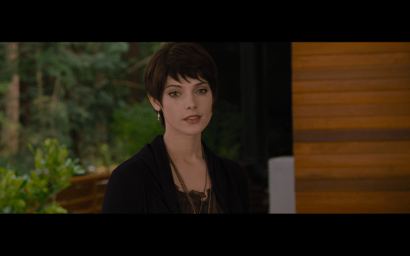 The Twilight Saga Breaking Dawn Part 2 - 1876