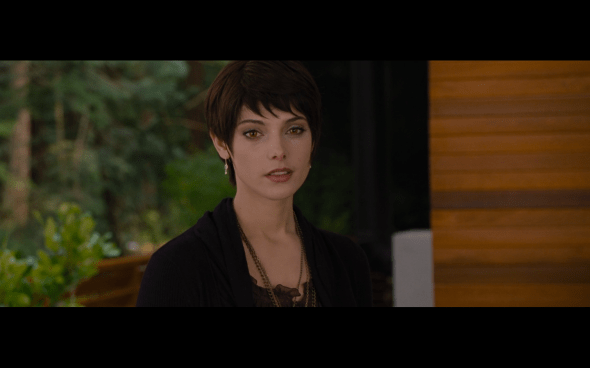 The Twilight Saga Breaking Dawn Part 2 - 1877