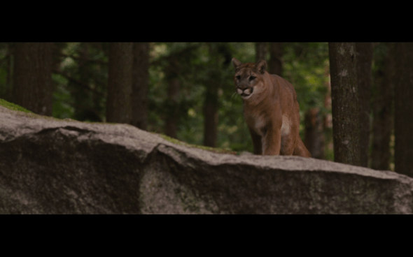 The Twilight Saga Breaking Dawn Part 2 - 188