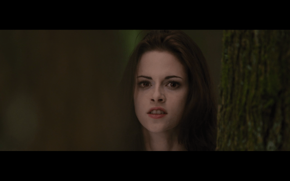 The Twilight Saga Breaking Dawn Part 2 - 189
