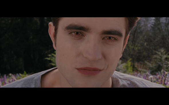 The Twilight Saga Breaking Dawn Part 2 - 1893