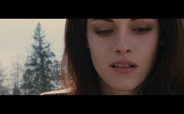 The Twilight Saga Breaking Dawn Part 2 - 1894