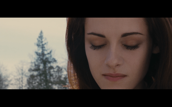 The Twilight Saga Breaking Dawn Part 2 - 1895