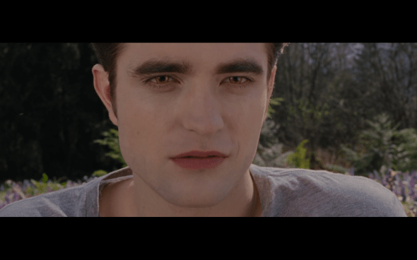 The Twilight Saga Breaking Dawn Part 2 - 1896