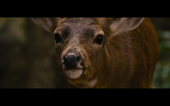 The Twilight Saga Breaking Dawn Part 2 - 190