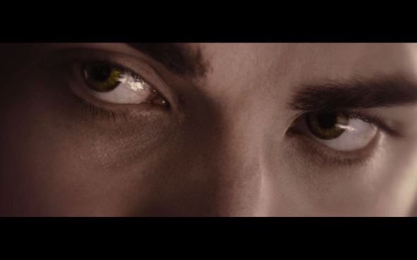 The Twilight Saga Breaking Dawn Part 2 - 1908