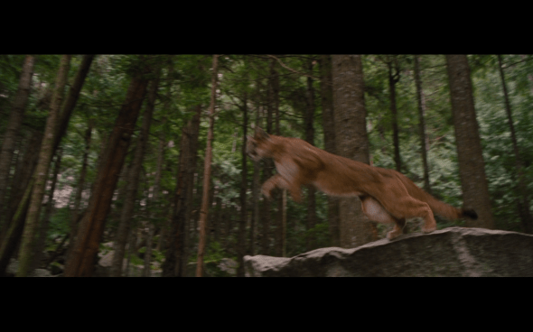 The Twilight Saga Breaking Dawn Part 2 - 192