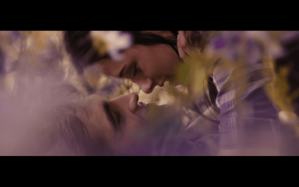 The Twilight Saga Breaking Dawn Part 2 - 1926