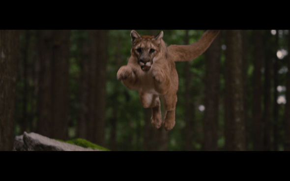 The Twilight Saga Breaking Dawn Part 2 - 193