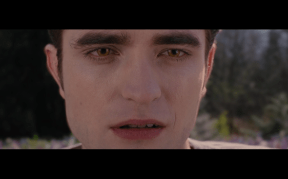 The Twilight Saga Breaking Dawn Part 2 - 1938