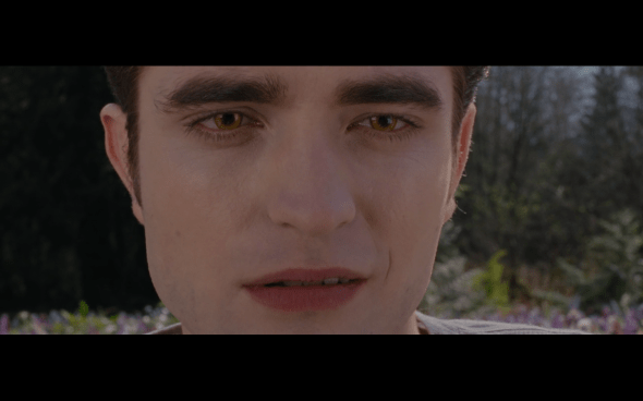 The Twilight Saga Breaking Dawn Part 2 - 1939