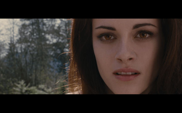 The Twilight Saga Breaking Dawn Part 2 - 1940