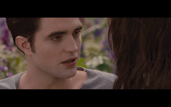 The Twilight Saga Breaking Dawn Part 2 - 1941