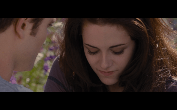 The Twilight Saga Breaking Dawn Part 2 - 1942