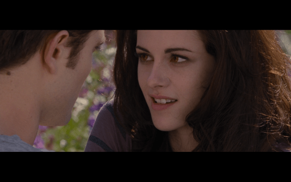 The Twilight Saga Breaking Dawn Part 2 - 1943