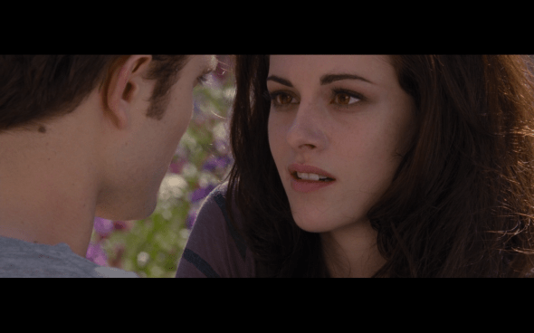 The Twilight Saga Breaking Dawn Part 2 - 1944