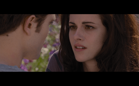 The Twilight Saga Breaking Dawn Part 2 - 1945