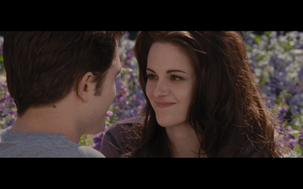 The Twilight Saga Breaking Dawn Part 2 - 1951