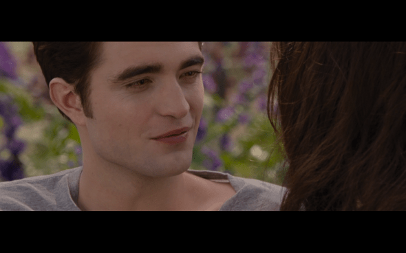 The Twilight Saga Breaking Dawn Part 2 - 1953