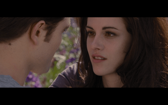 The Twilight Saga Breaking Dawn Part 2 - 1954