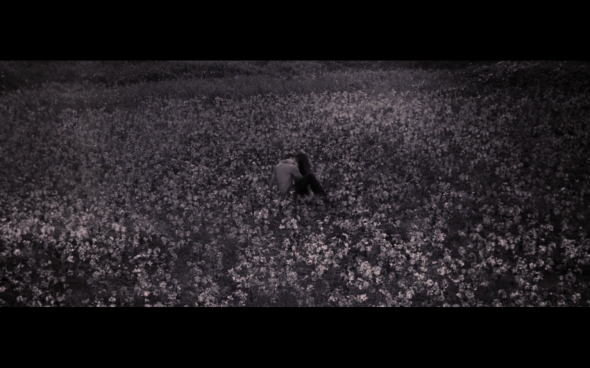 The Twilight Saga Breaking Dawn Part 2 - 1961