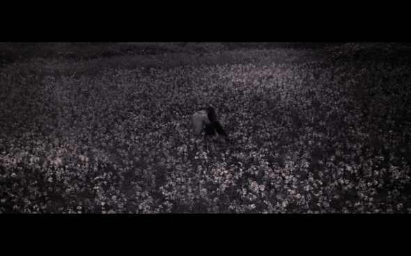 The Twilight Saga Breaking Dawn Part 2 - 1962