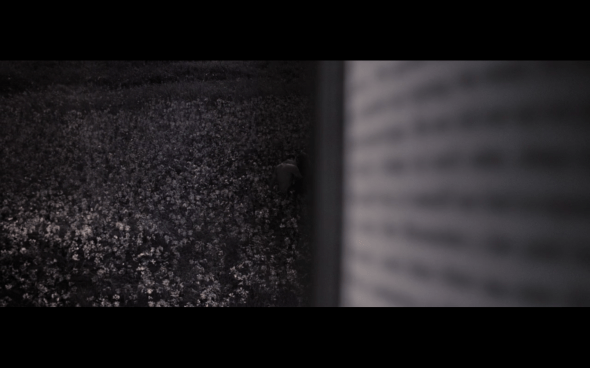 The Twilight Saga Breaking Dawn Part 2 - 1963