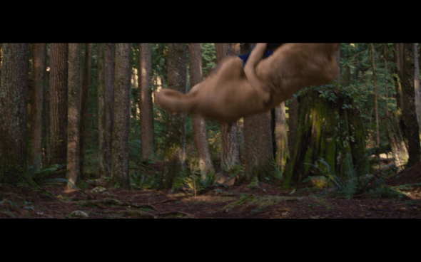 The Twilight Saga Breaking Dawn Part 2 - 197